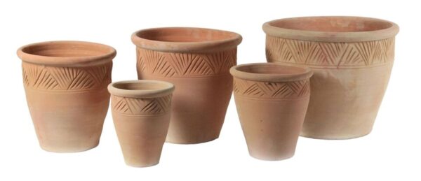 Terrakotta Whitewash Set