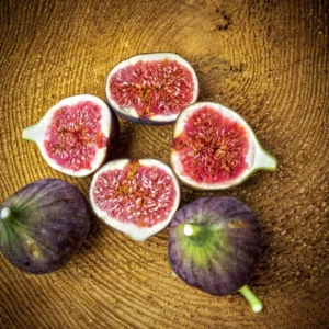 Ficus carica 'Napolitana'