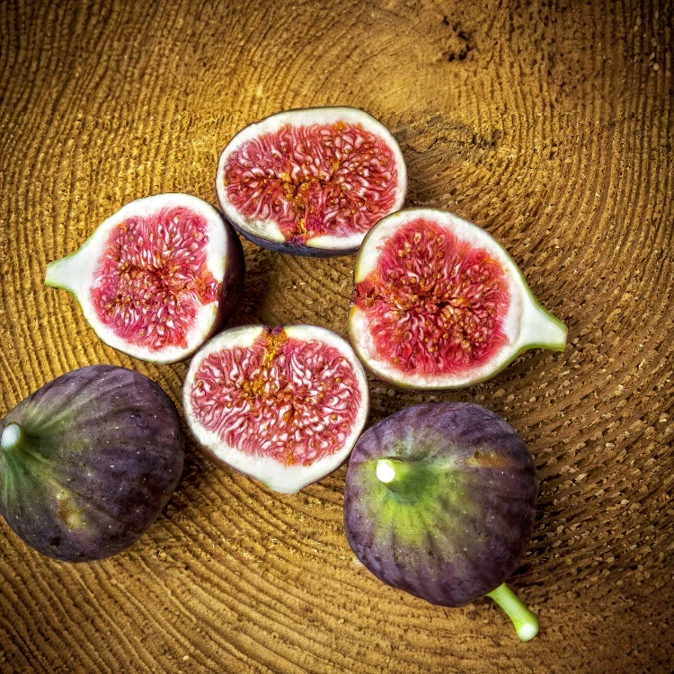 Ficus carica 'Napolitana' – Bild 2