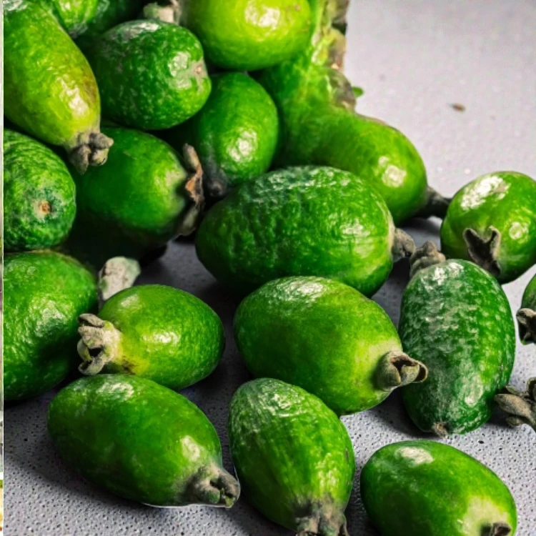 Ananas-Guave – Bild 3